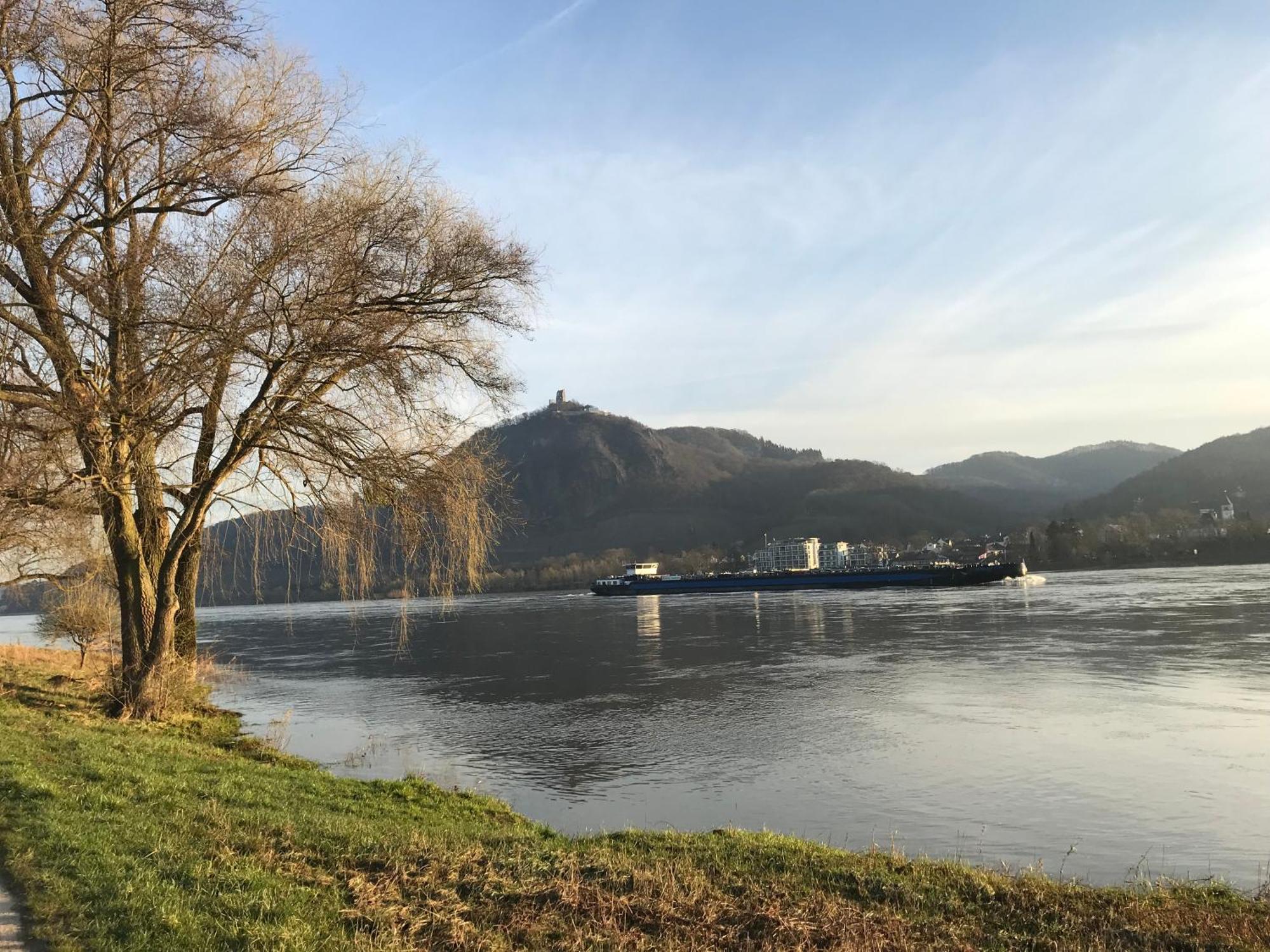 Ferienhaus Rheinperle Mit Garten In Remagen Am Rhein - Naehe Bonn Villa Exterior foto