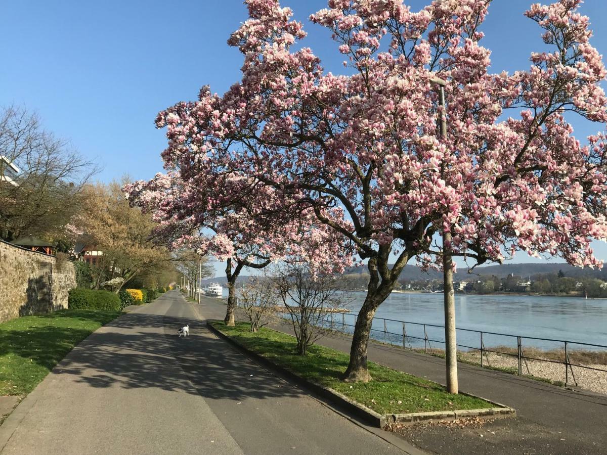 Ferienhaus Rheinperle Mit Garten In Remagen Am Rhein - Naehe Bonn Villa Exterior foto